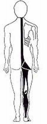 ginnastica-posturale1