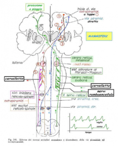 Atassia - 1