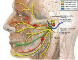 paresi-facciale-2